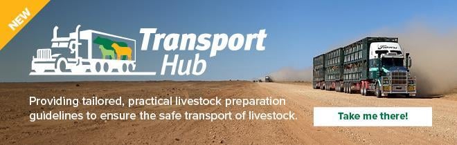Transport-Hub-Media-kit-1