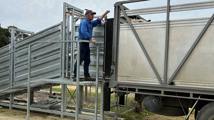 lachy-day_ramp-and-truck-fi